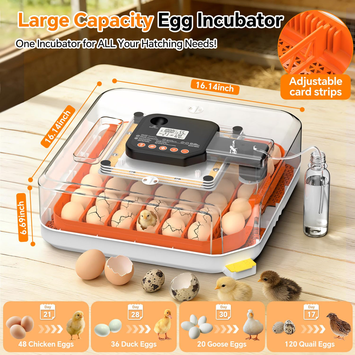 DOVNIS 48 Egg Incubator with Auto Turner & Digital Control