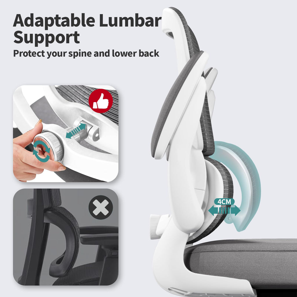 TRALT Ergonomic Office Chair with Adjustable Lumbar Support