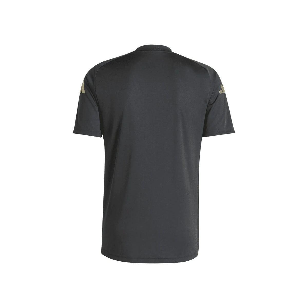 Argentina 2024 Warm Up Jersey - Men's