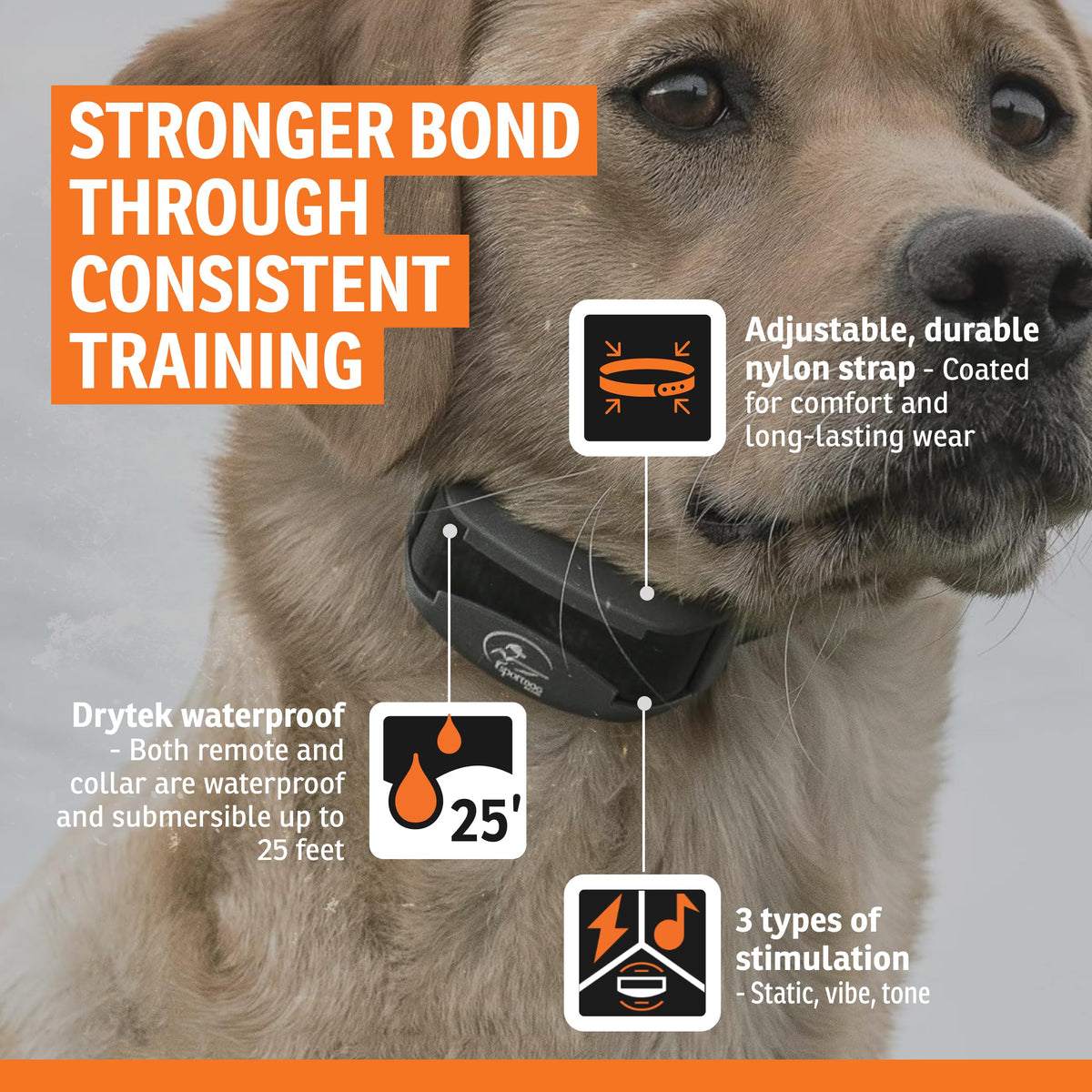 SPORTDOG FieldTrainer 425X Remote Dog Training Collar - 500 Yards