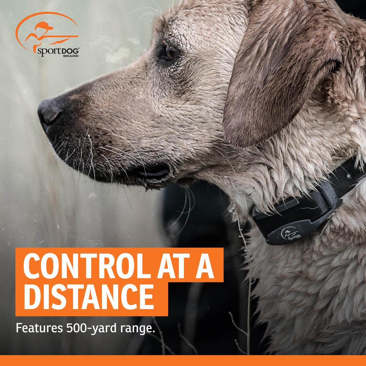 SPORTDOG FieldTrainer 425X Remote Dog Training Collar - 500 Yards