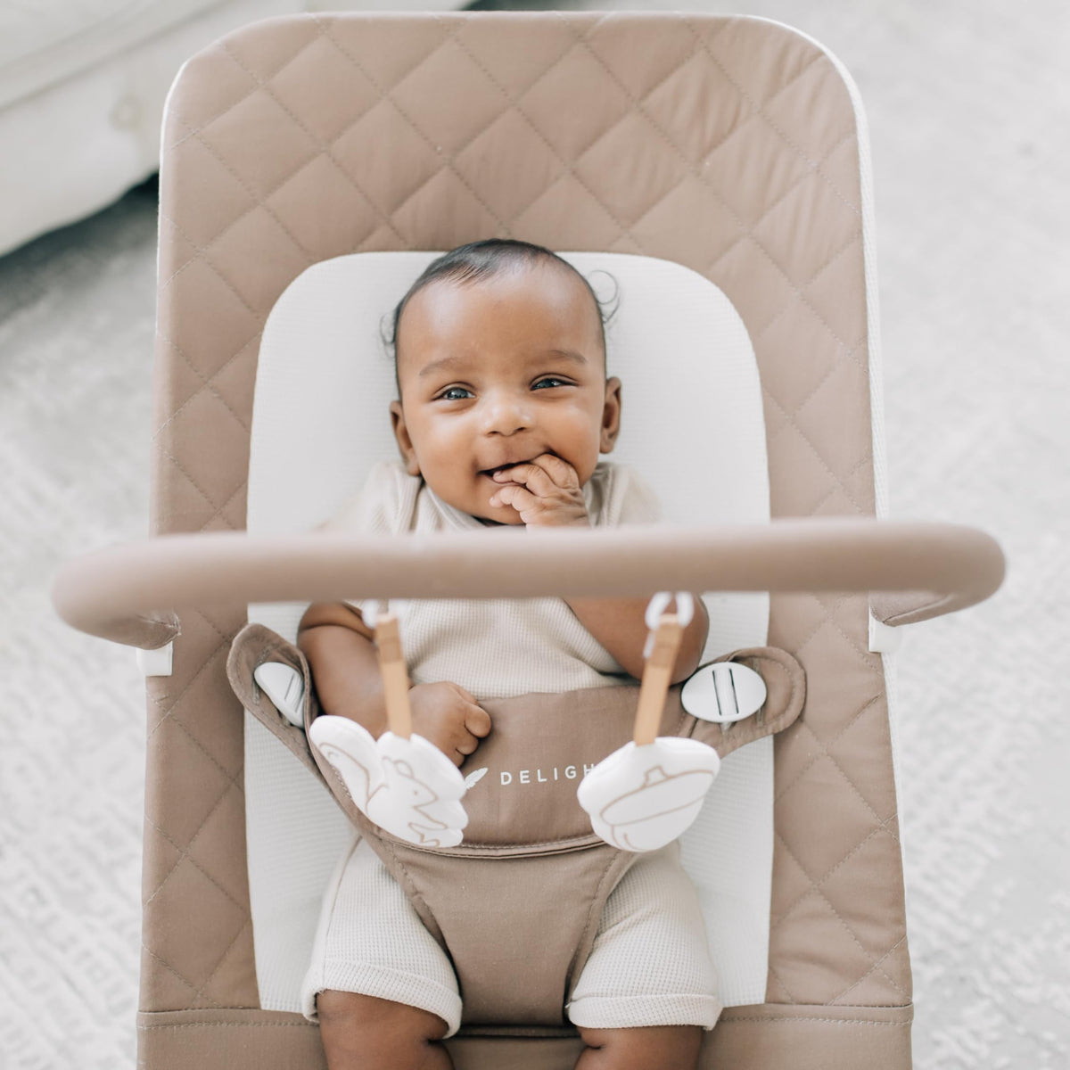 BABY DELIGHT Alpine Deluxe Baby Bouncer | 0-6 Months | Organic Cotton