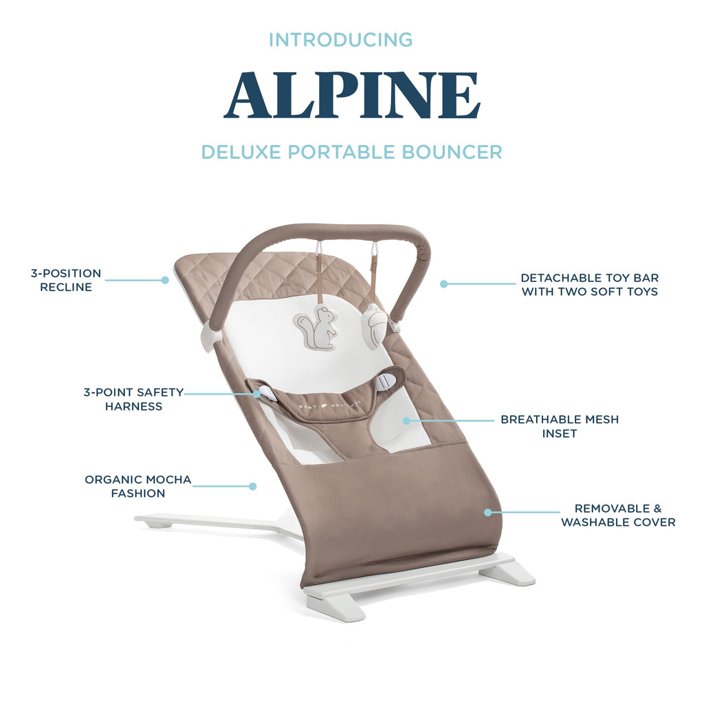 BABY DELIGHT Alpine Deluxe Baby Bouncer | 0-6 Months | Organic Cotton