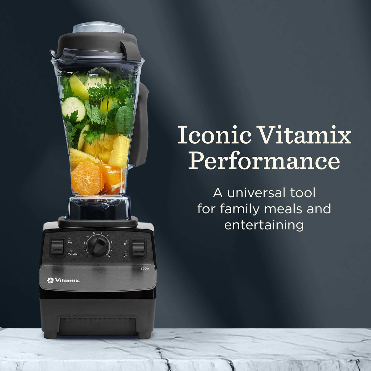 VITAMIX 5200 Professional Blender for Smoothies & Food Prep