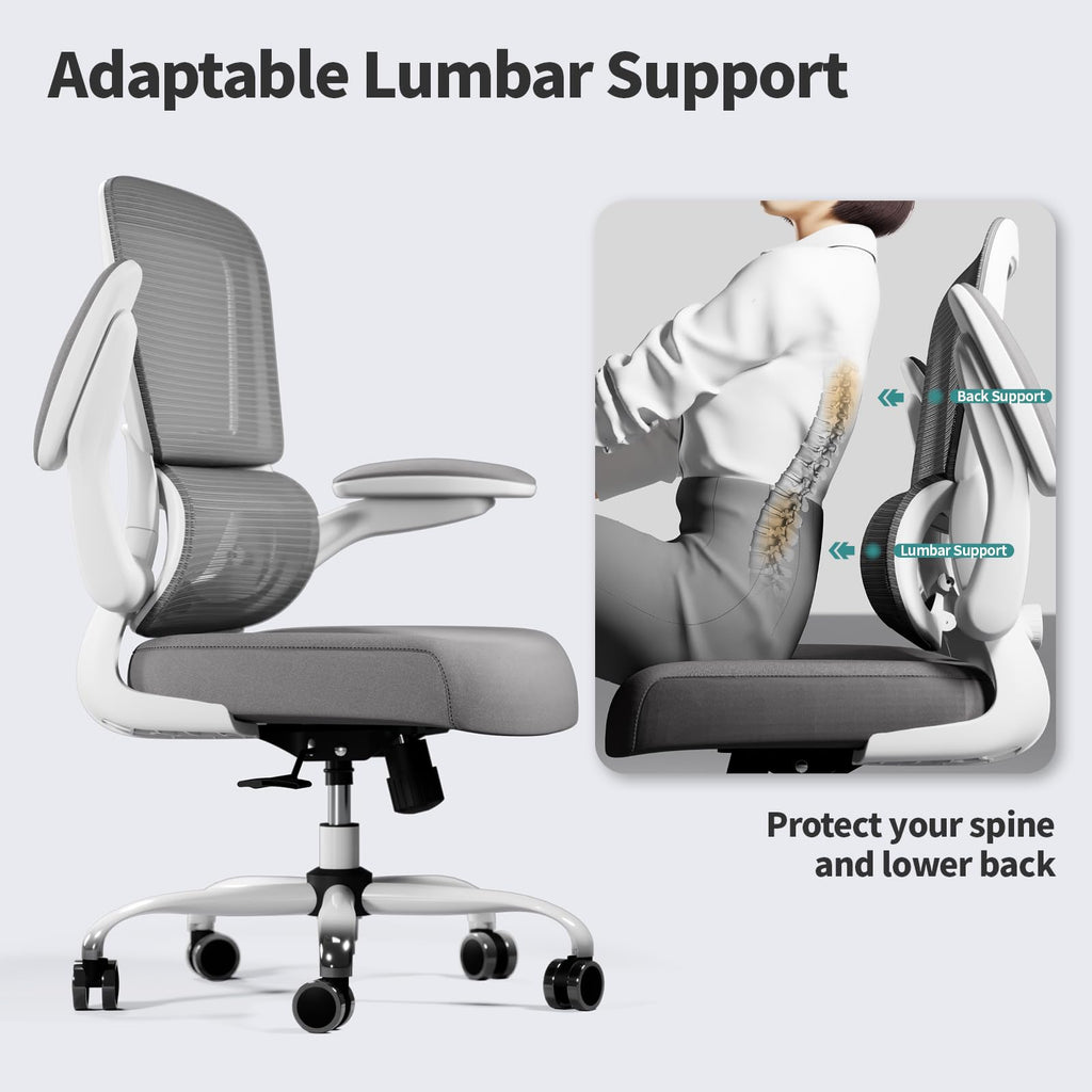 TRALT Ergonomic Office Chair with Adjustable Lumbar Support