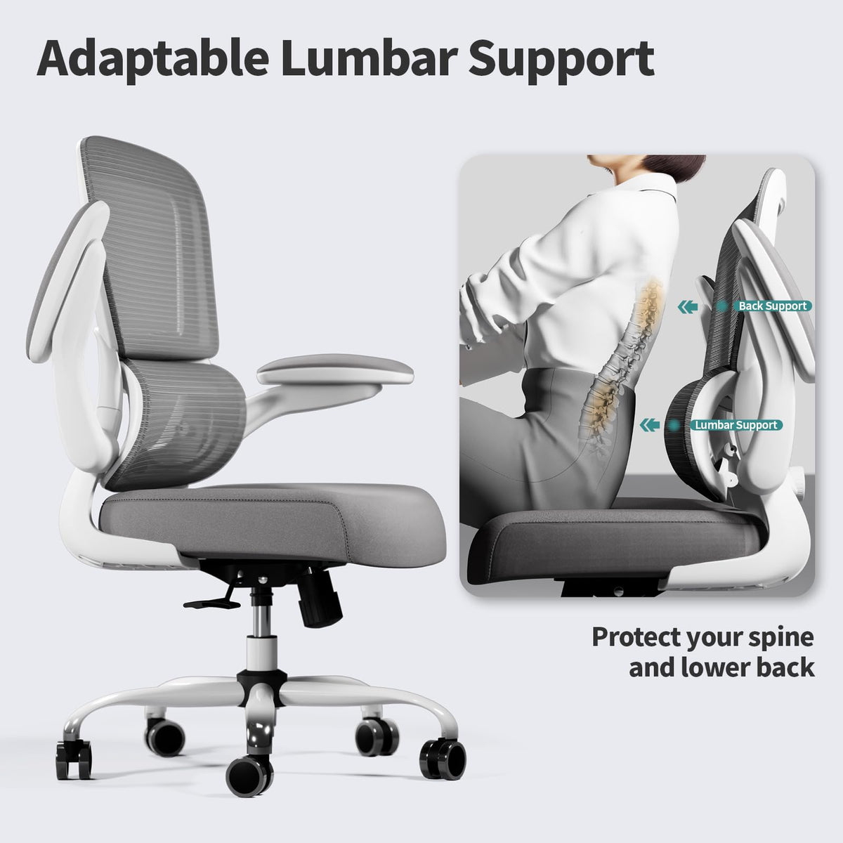 TRALT Ergonomic Office Chair with Adjustable Lumbar Support
