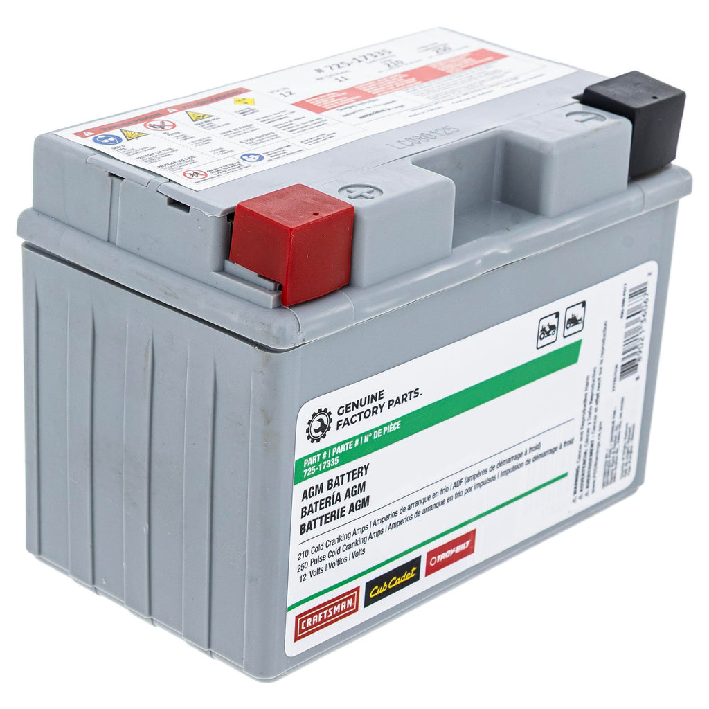 CUB CADET 490-280-F017 Battery 210CCA for Ultima Models