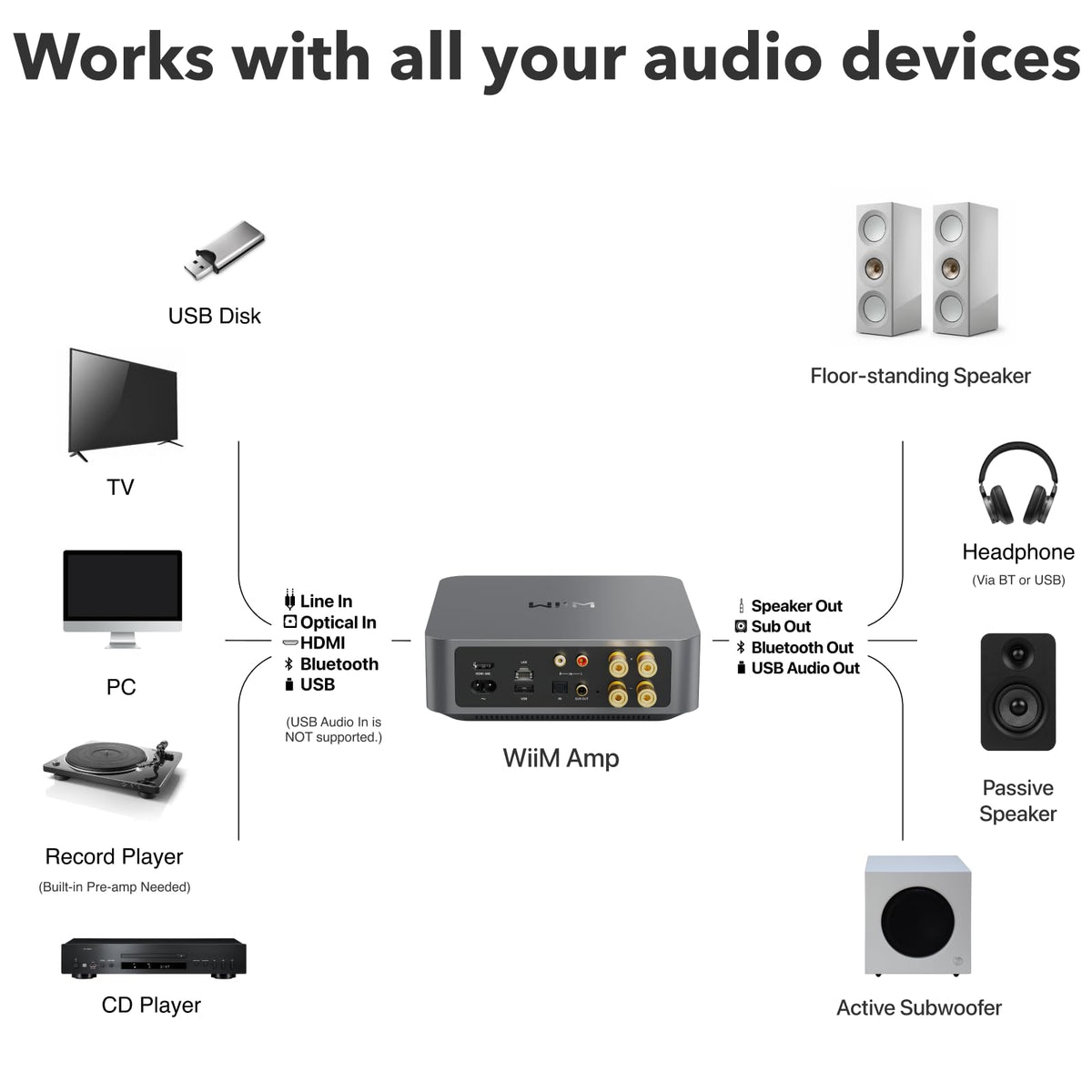 WIIM Amp Multiroom Streaming Amplifier - AirPlay, Google Cast, Alexa Compatible