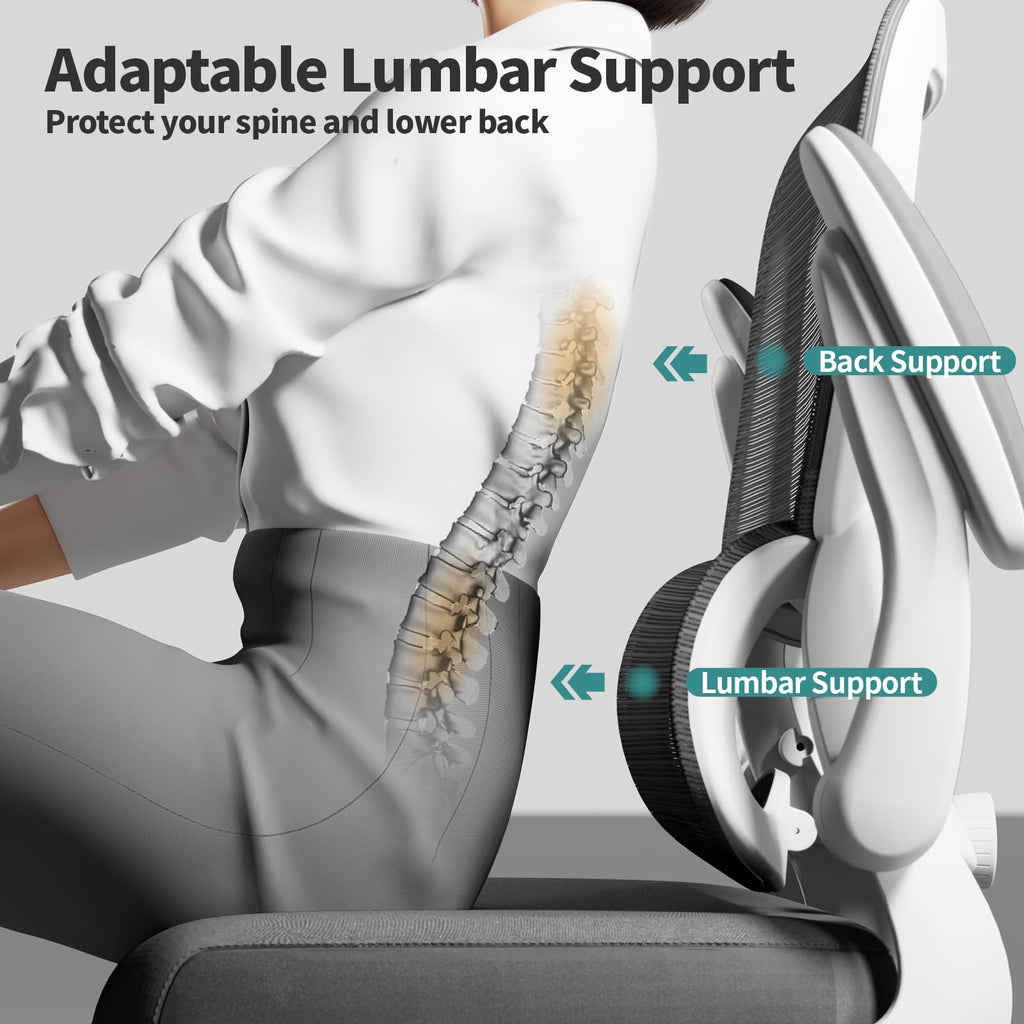 TRALT Ergonomic Office Chair with Adjustable Lumbar Support