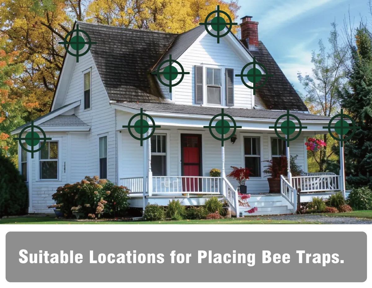 BEST BEE TRAP Carpenter Bee Trap - Outdoor Wooden Insect Traps (4 Pack)