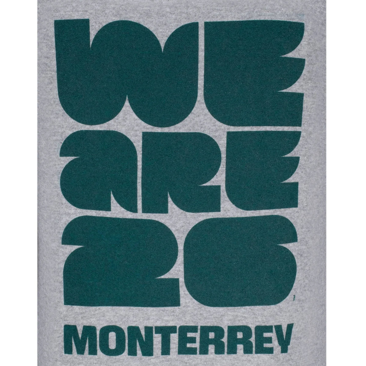 FIFA World Cup 2026™ Monterrey Grey Hoodie - Unisex