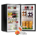 FROSTORM 3.2 Cu Ft Mini Fridge with Freezer - Energy Efficient