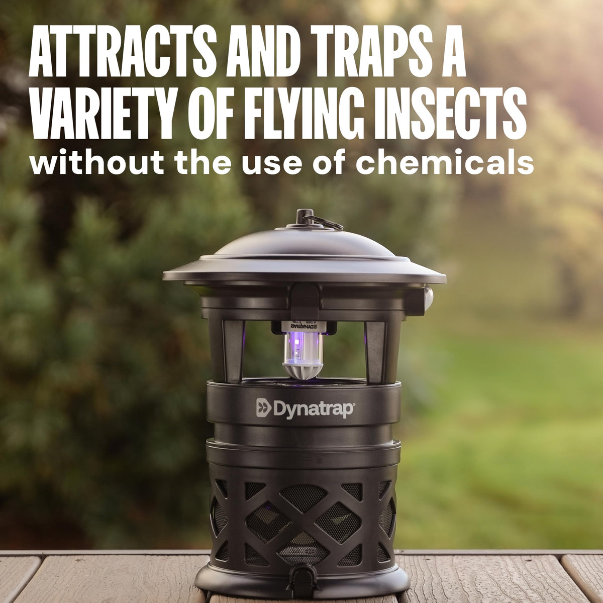 DYNATRAP DT2030SR Outdoor Fly Trap - Mosquito & Insect Killer