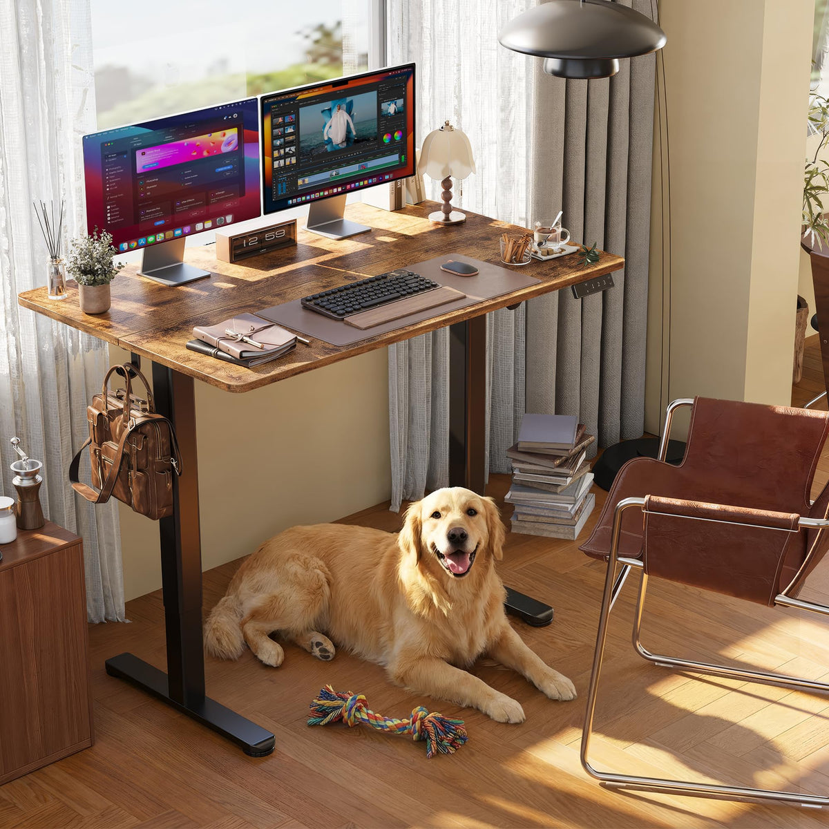 CLAIKS Electric Standing Desk - Adjustable Height 24x48"