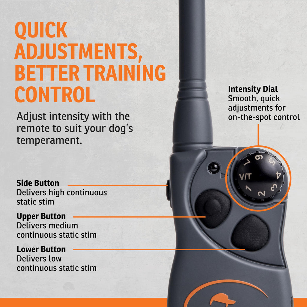SPORTDOG FieldTrainer 425X Remote Dog Training Collar - 500 Yards
