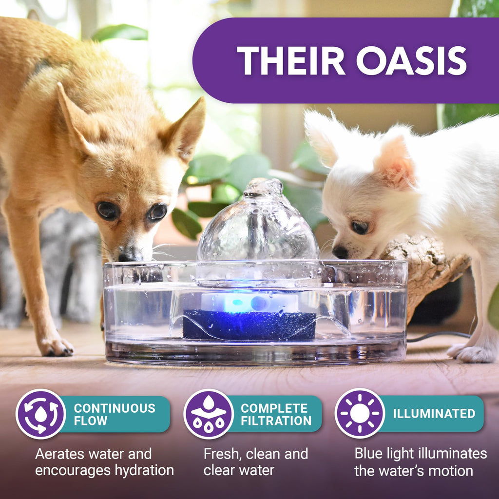 BROOK Glass Pet Fountain - 90oz Cat & Dog Water Dispenser
